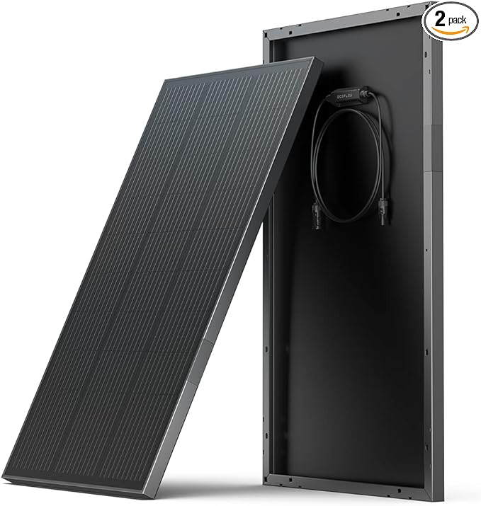 2 Paneles solares de 100 W ECOFLOW